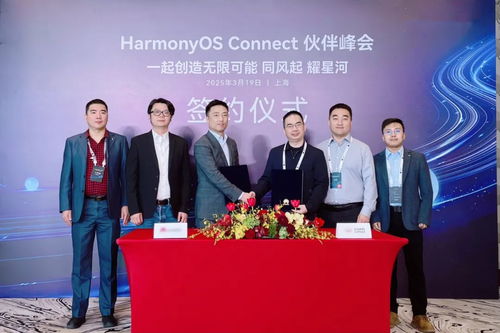 2025年度harmonyos connect伙伴峰會暨芯?？萍挤终搲瘓A滿落幕