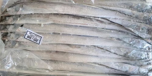 天津一批凍豬肘檢出新冠陽(yáng)性事件 緊急通報(bào)與防控反思